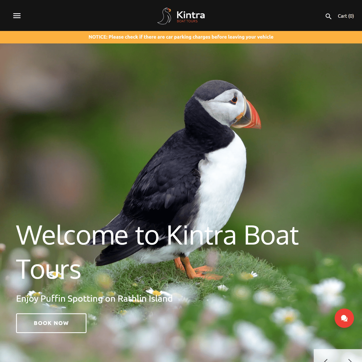 Kintra Boat Tours